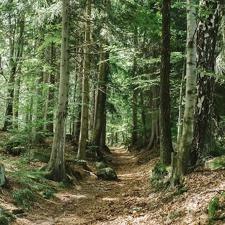 Weranda Z Widokiem Na Karkonosze Bed & Breakfast 3*