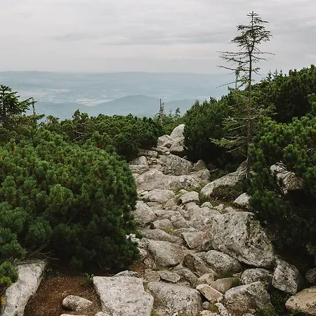Weranda Z Widokiem Na Karkonosze Bed & Breakfast Szklarska Poręba