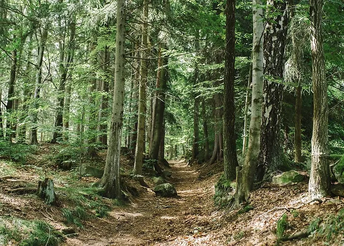 Weranda Z Widokiem Na Karkonosze Nocleg ze śniadaniem 3*