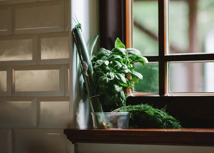 Weranda Z Widokiem Na Karkonosze Bed and breakfast 3*